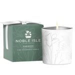 Noble Isle Pinewood Fragrance Candle